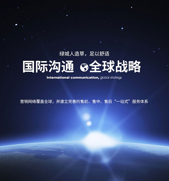 vwin德赢ac米兰官方网人造草坪一站式服务体系